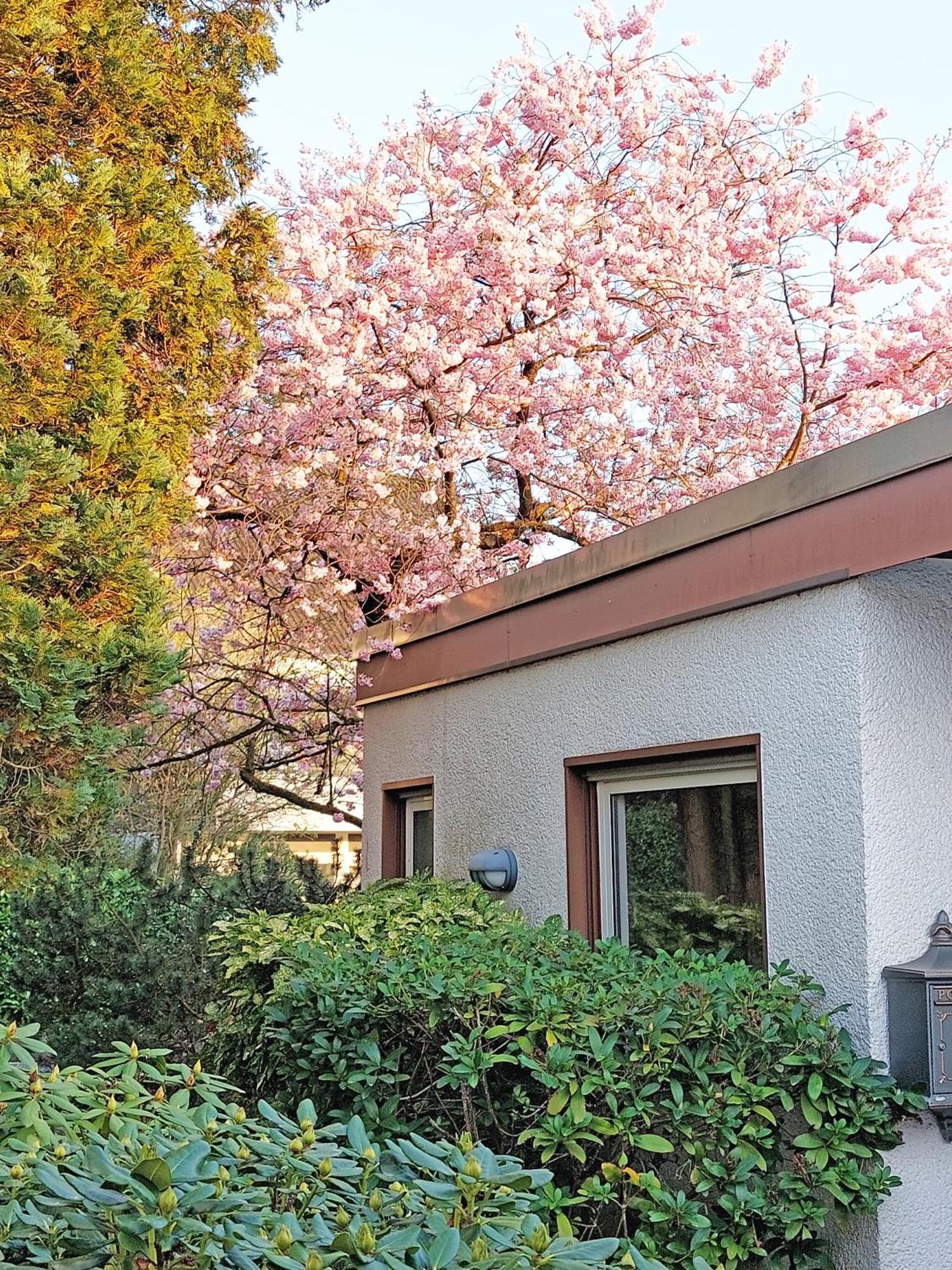 Apartment Close To Nature,Airport, Fair Ratingen Bagian luar foto
